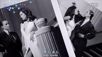 情挑洛杉矶,一场浪漫的都市邂逅之旅