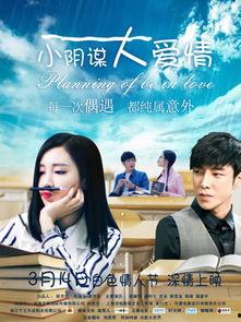 小阴谋大爱情,一场跨越阴谋与爱情的传奇之旅