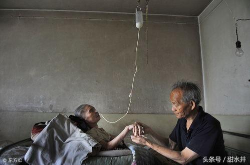 植物人老伴是大佬,大佬的深情守护